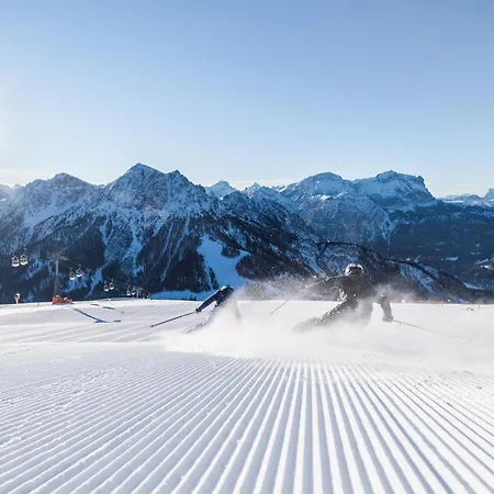 Hotel Dolomitenhof 2*
